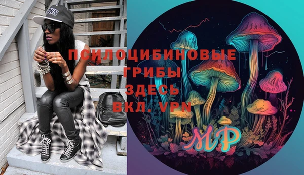 ПСИЛОЦИБИНОВЫЕ ГРИБЫ Аркадак