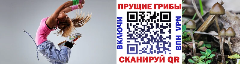 блэк спрут ONION  где можно купить   Межгорье  Псилоцибиновые грибы ЛСД 